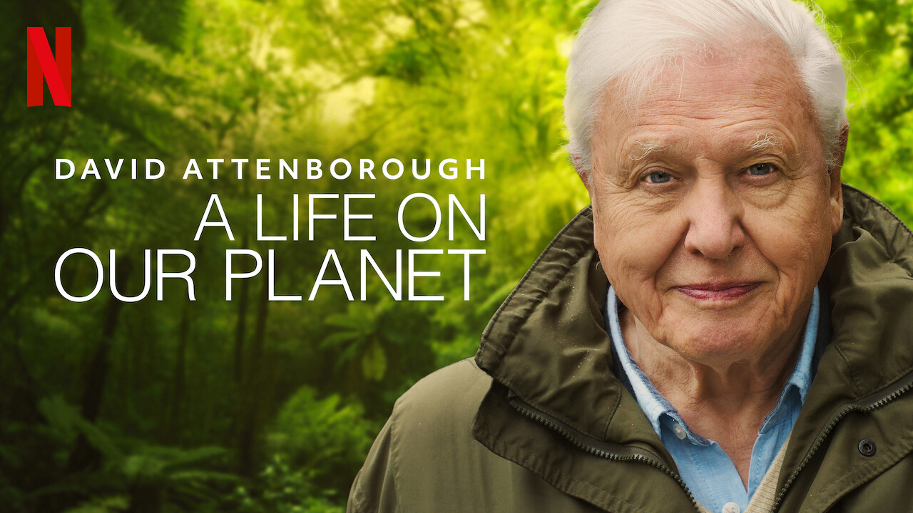 Xem Phim David Attenborough: Một Cuộc Đời Trên Trái Đất Phụ Đề