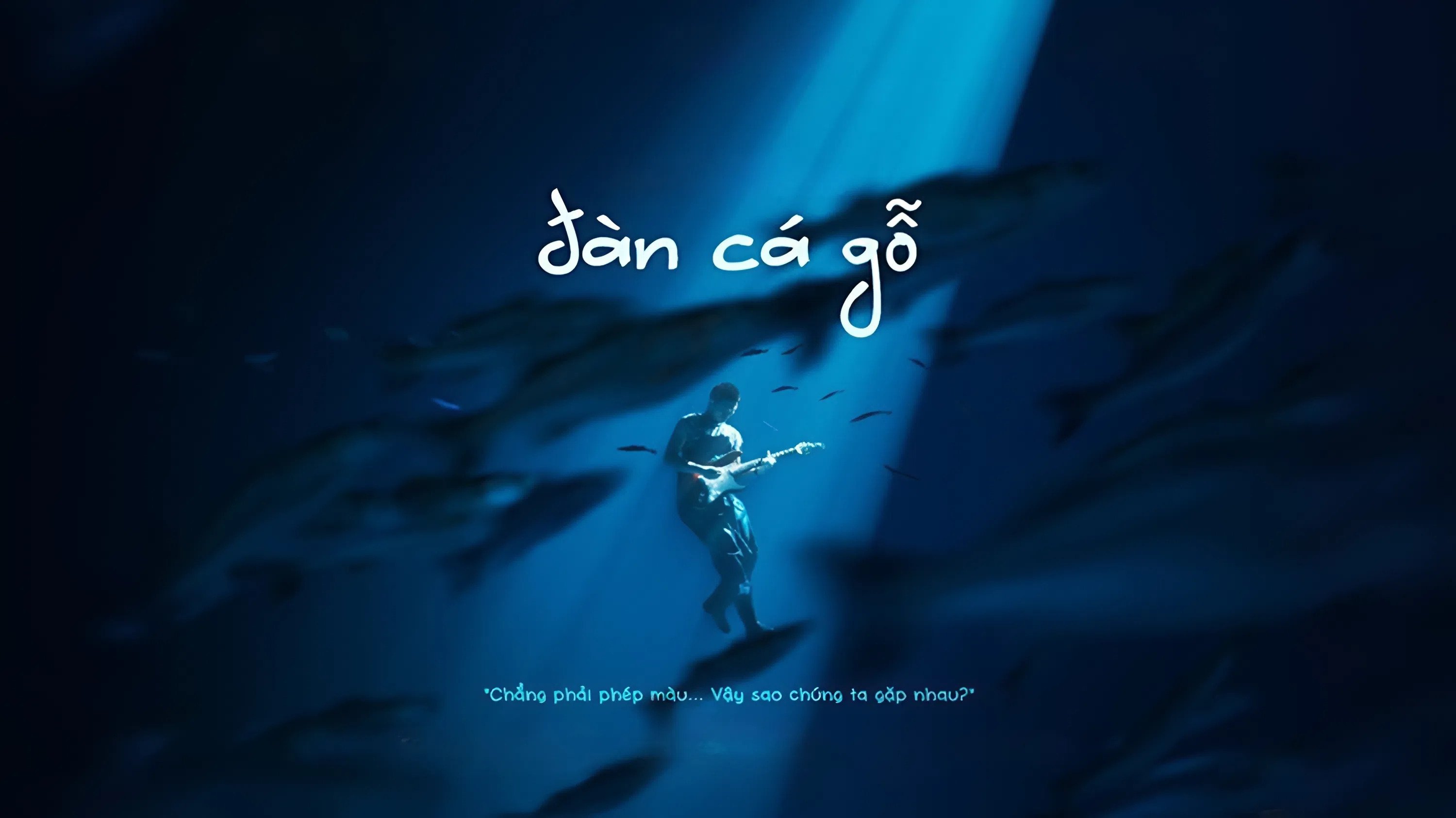 Xem Phim Đàn Cá Gỗ Phụ Đề