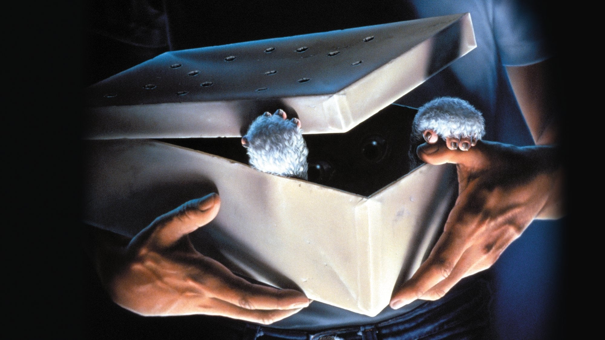 Xem Phim Gremlins Phụ Đề