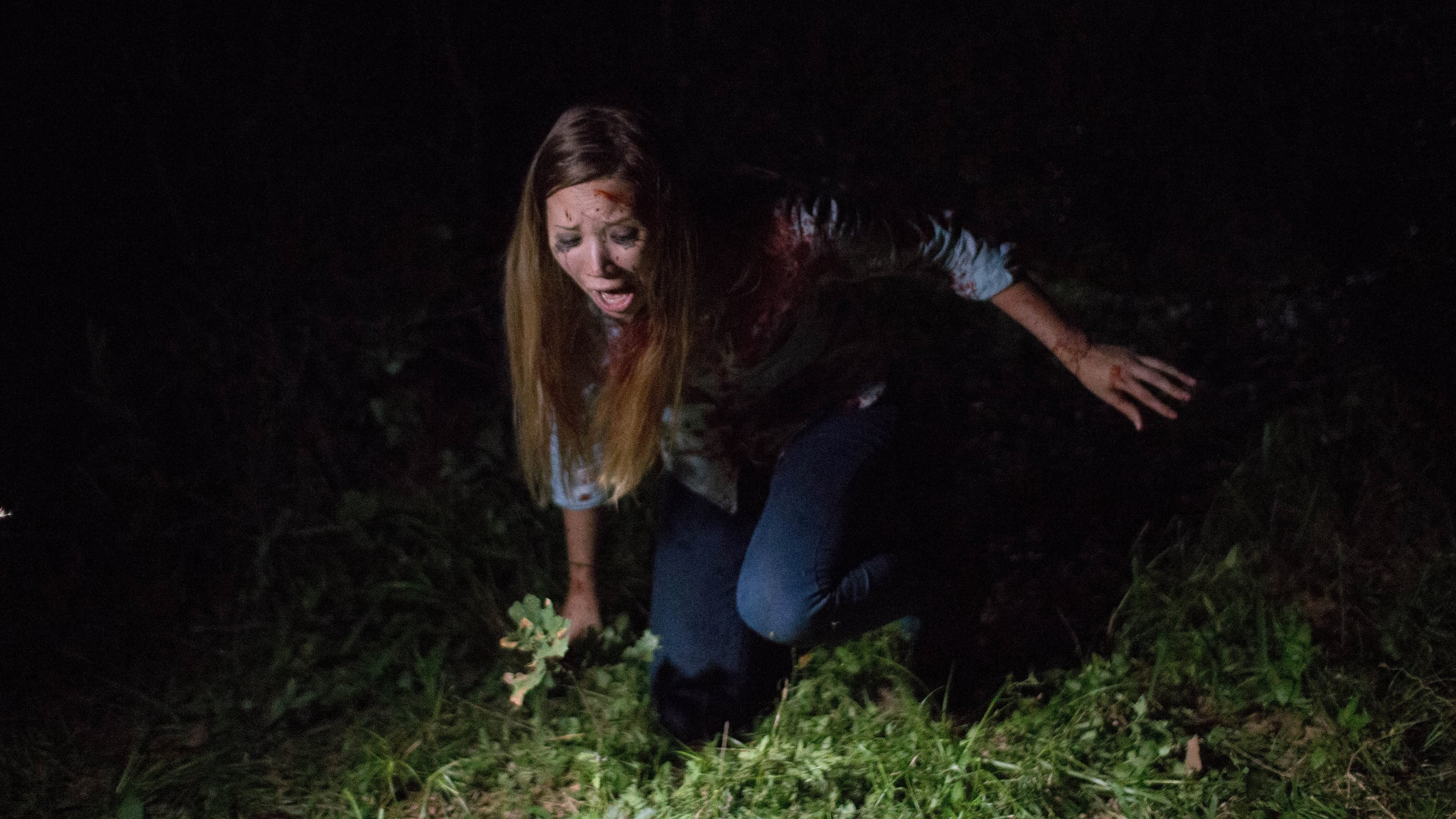 Xem Phim Found Footage 3D Phụ Đề