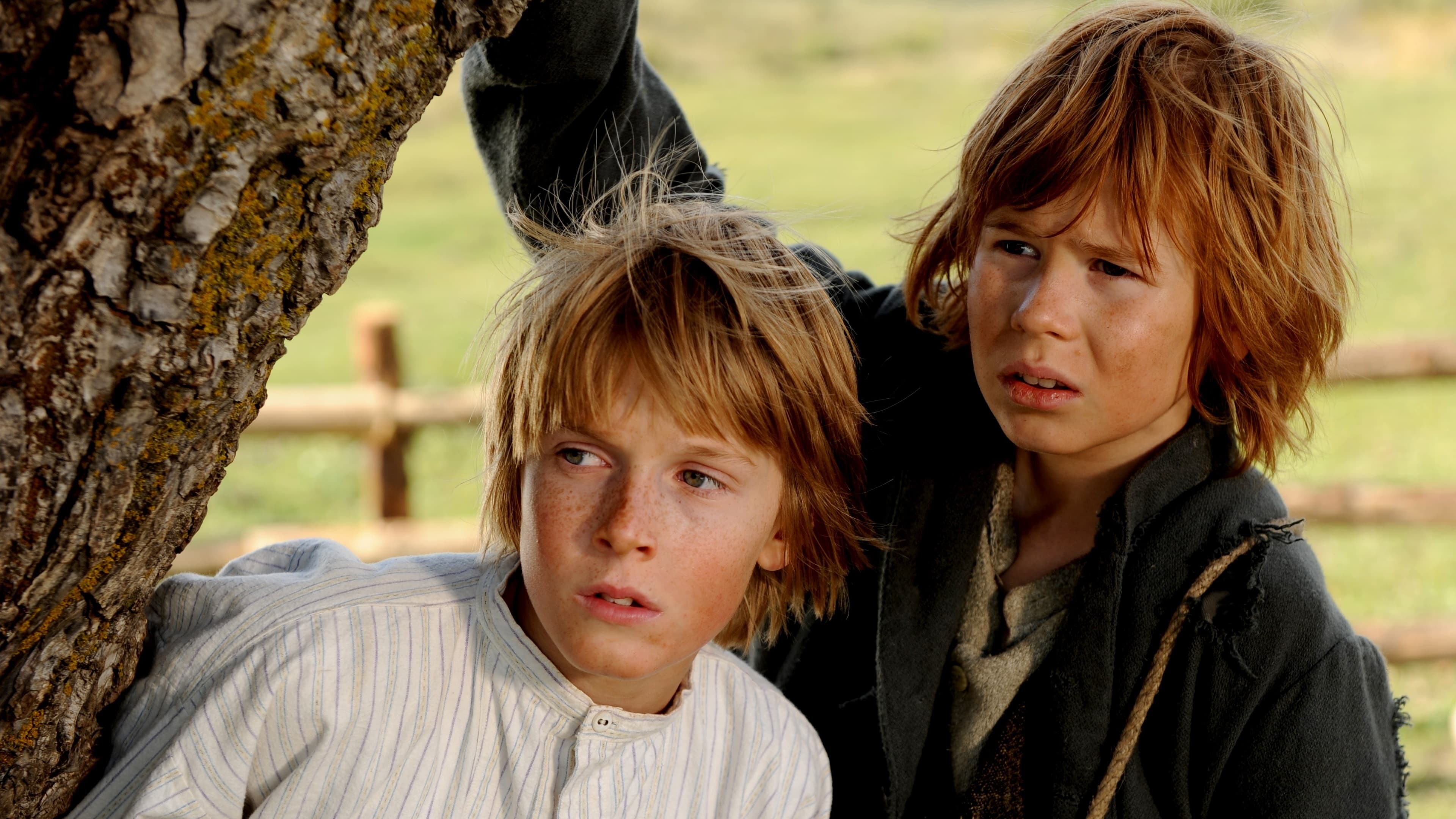 Xem Phim Những Cuộc Phiêu Lưu Của Tom Sawyer Phụ Đề