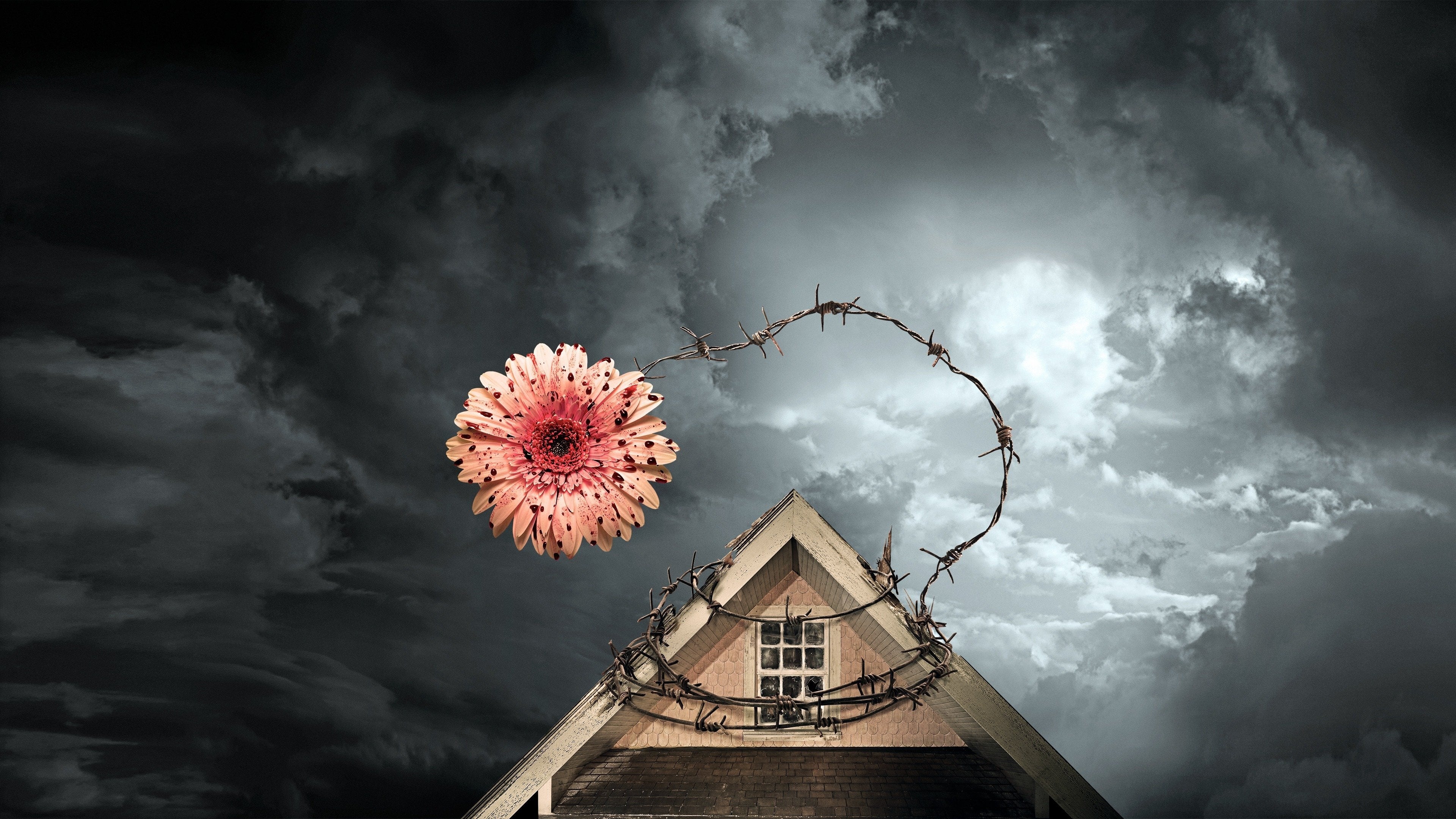 Xem Phim Petals on the Wind