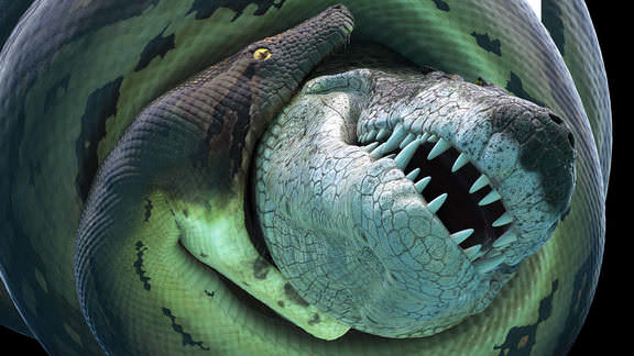 Xem Phim Bí Ẩn Quái Vật Khổng Lồ Titanoboa