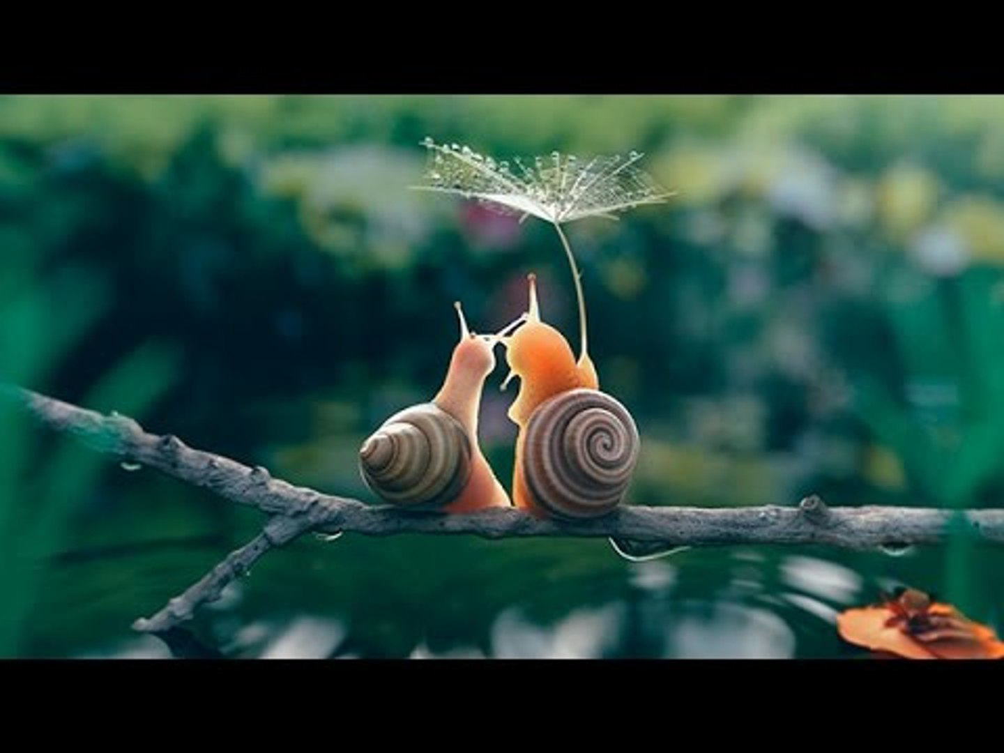 Xem Phim Thế Giới Côn Trùng