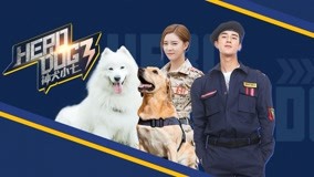 Tập 41