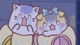 Tập 5