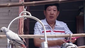 Tập 24