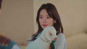 Tập 4