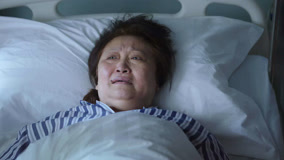 Tập 31