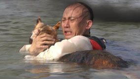 Tập 17