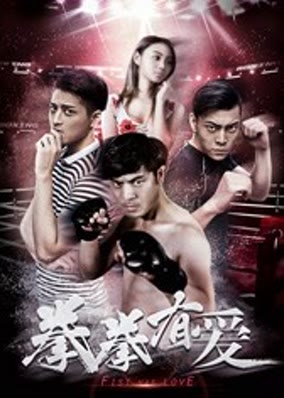 Yêu Boxer
