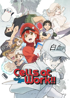 Cells at Work!!