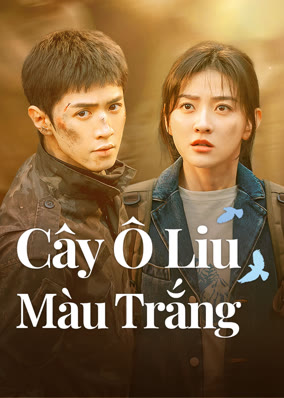 Cây Ô Liu Màu Trắng