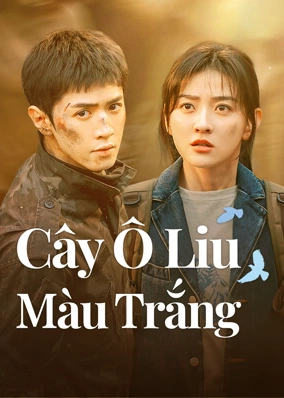 Cây Ô Liu Màu Trắng