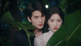 Tập 5