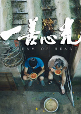 Chùm sáng của trái tim