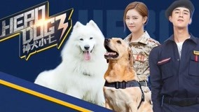Tập 26