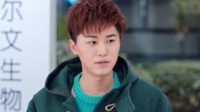 Tập 29