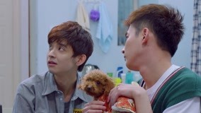 Tập 6