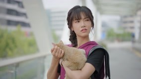 Tập 17
