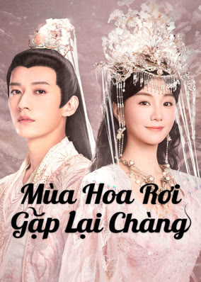 Mùa Hoa Rơi Gặp Lại Chàng