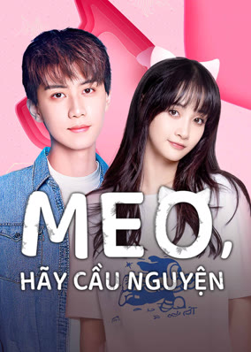 Meo, Hãy Cầu Nguyện